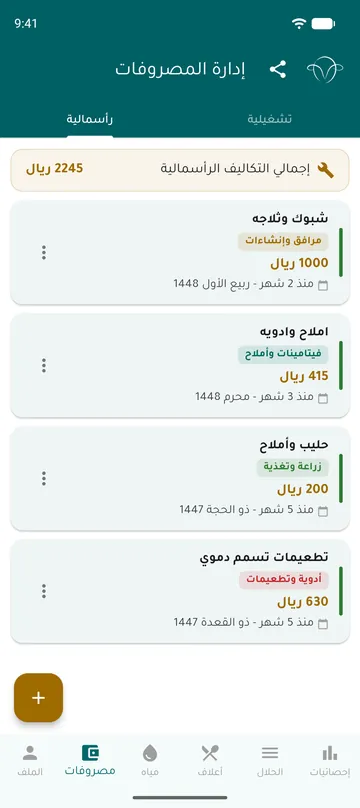 المصروفات الرأسمالية